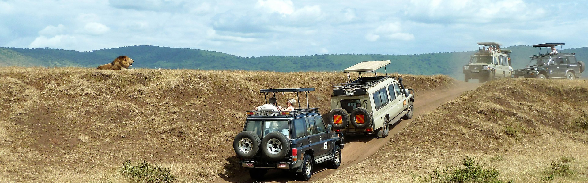 Safari i Afrika giver oplevelser for livet